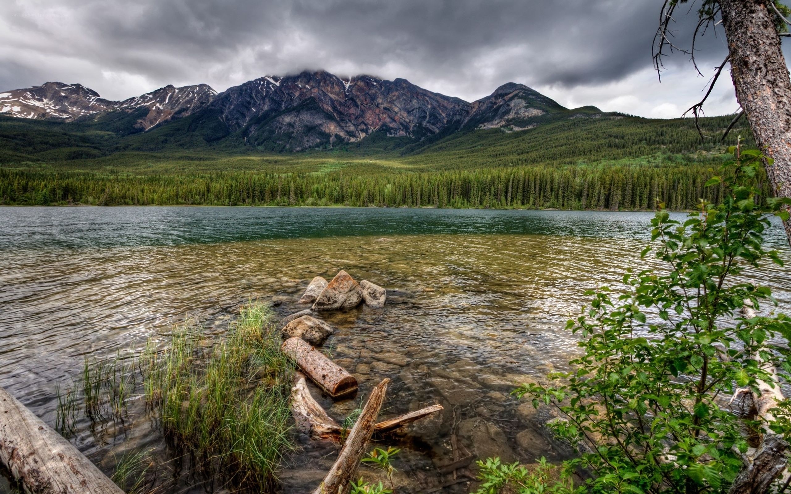 Mountain lake with forest backdrop