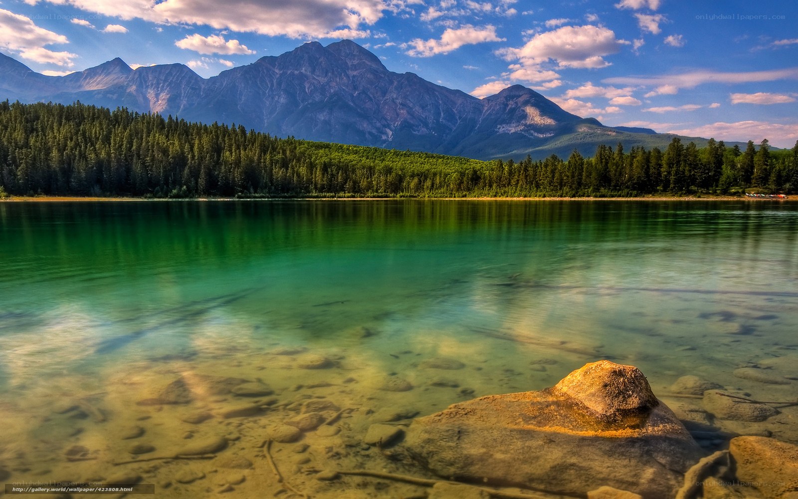 Mountain lake with forest backdrop