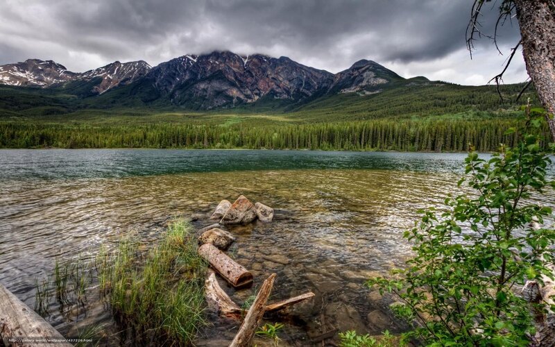 Mountain lake with forest backdrop