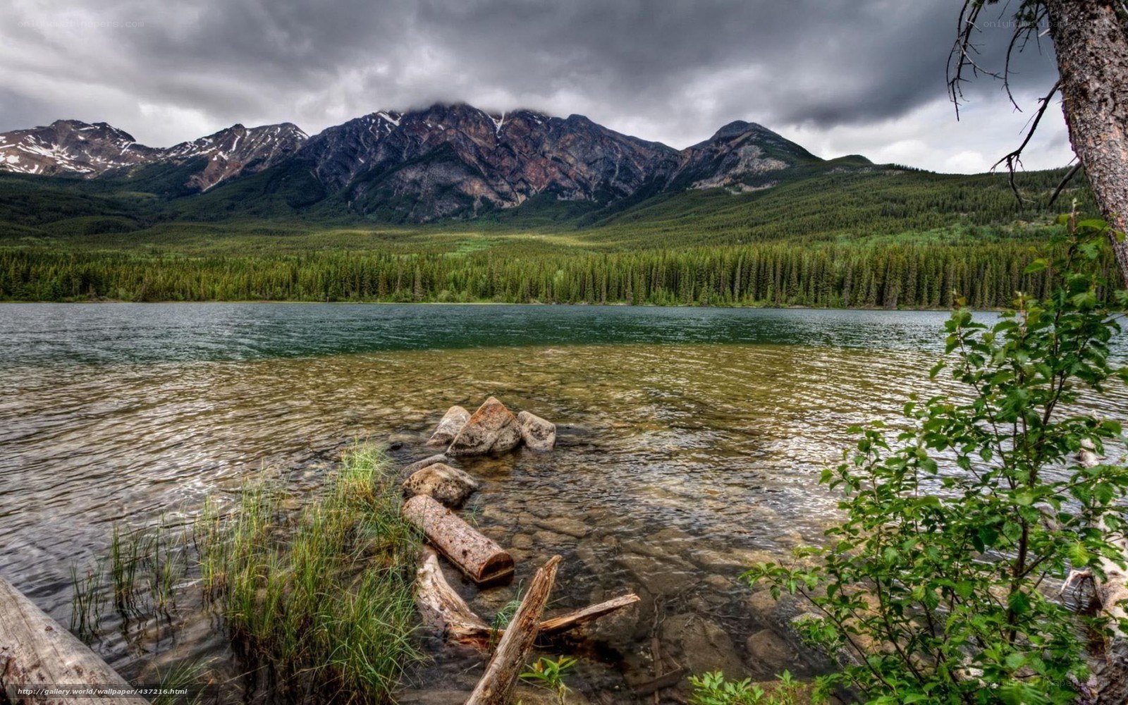 Mountain lake with forest backdrop