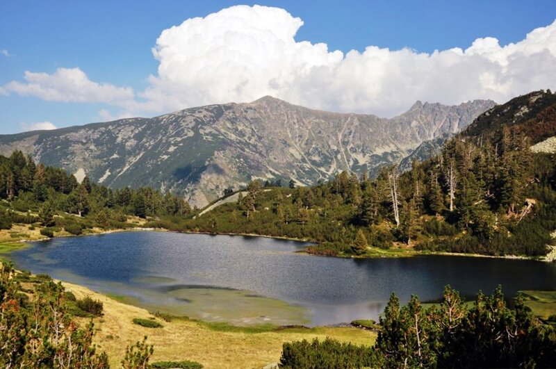 Mountain Lake with Forest — Blue, Serene, Afternoon