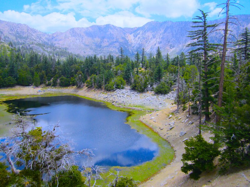 Mountain Lake with Forest — Blue, Serene