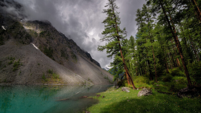 Mountain Lake with Forest — Green, Dramatic