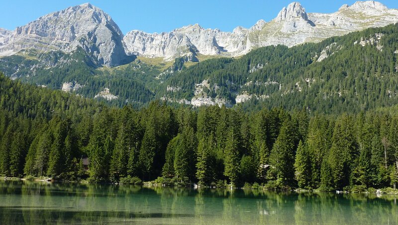 Mountain Lake with Forest — Green, Serene, Afternoon, Photograph, Mountains, Blue, Gray
