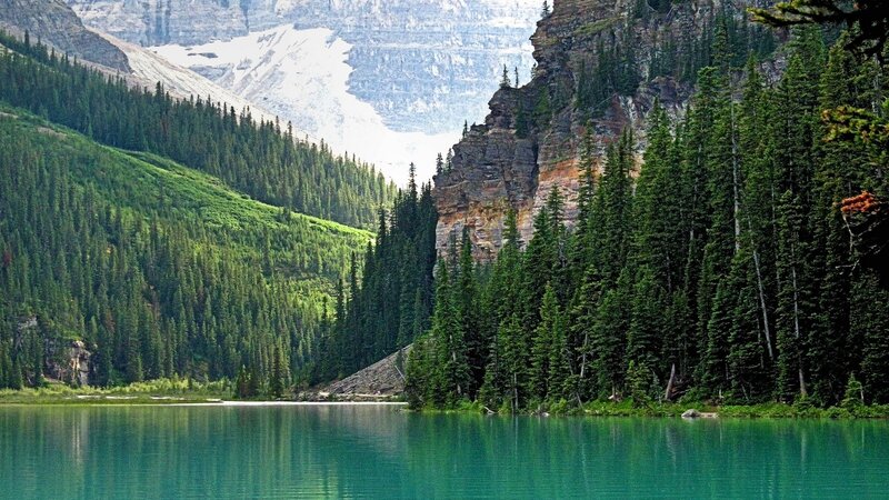 Mountain Lake with Forest — Green, Serene, Afternoon, Photograph, Trees, Mountains