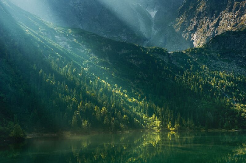 Mountain Lake with Forest — Green, Serene, Morning