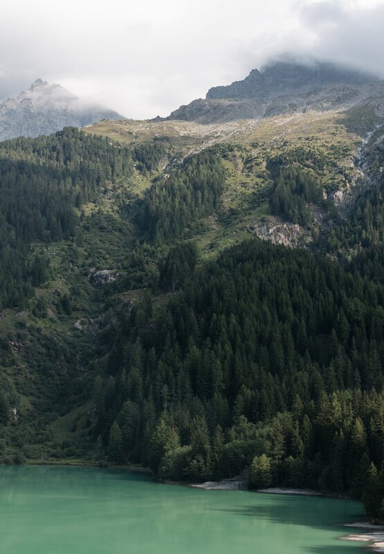 Mountain Lake with Forest — Green, Serene, Photograph, Mountains, Clouds