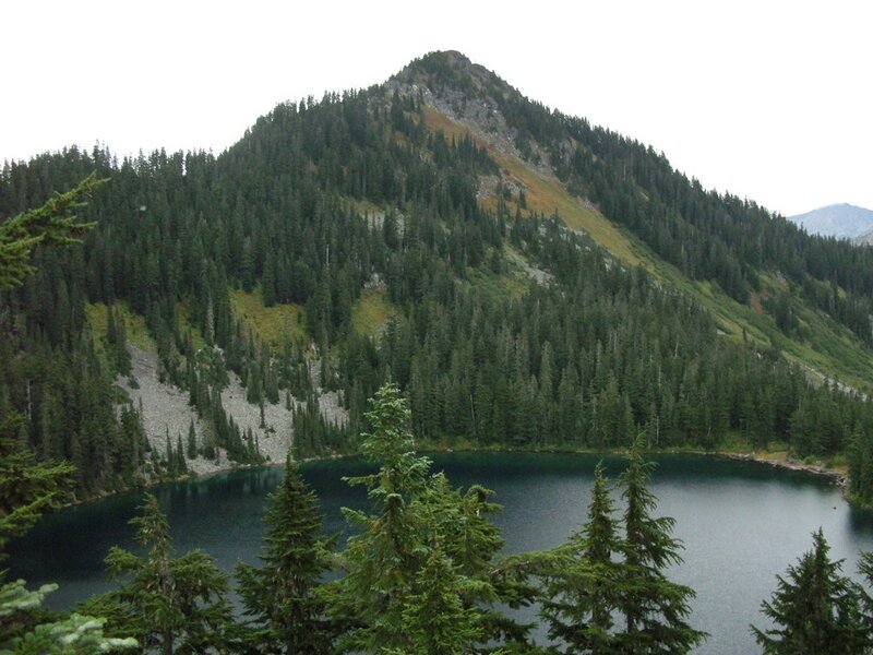 Mountain Lake with Forest — Green, Serene, Photograph