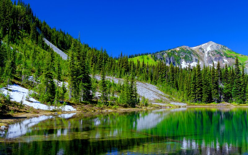 Mountain Lake with Forest — Green, Serene, Summer