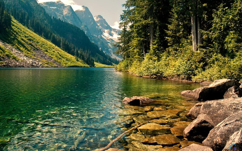 Mountain Lake with Forest — Green