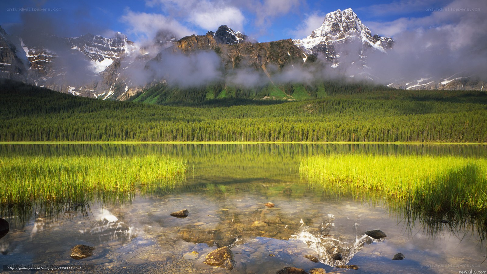 Mountain lake with forest reflection