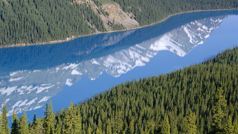 Mountain lake with forest reflection