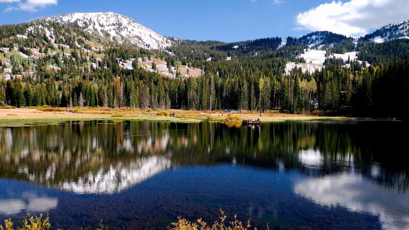 Mountain lake with forest reflection