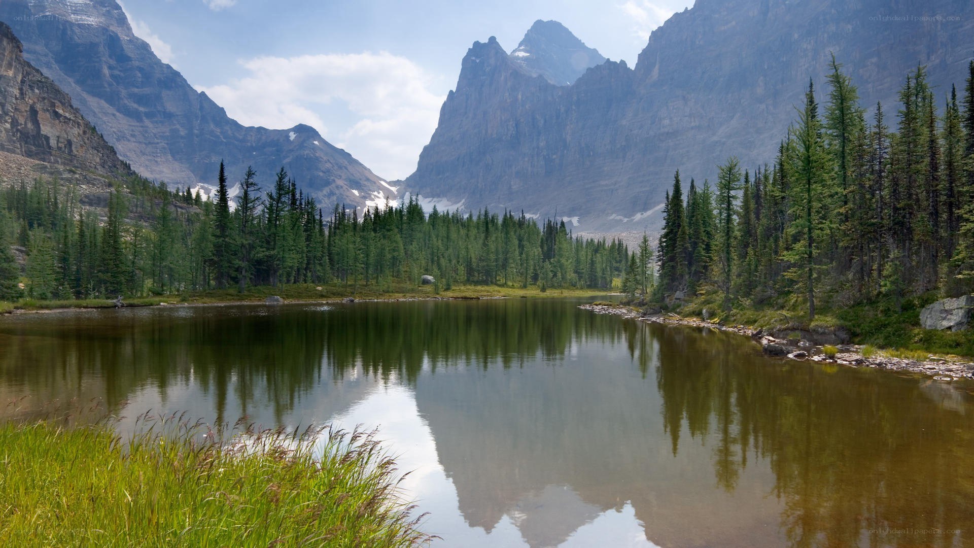 Mountain lake with forest reflection
