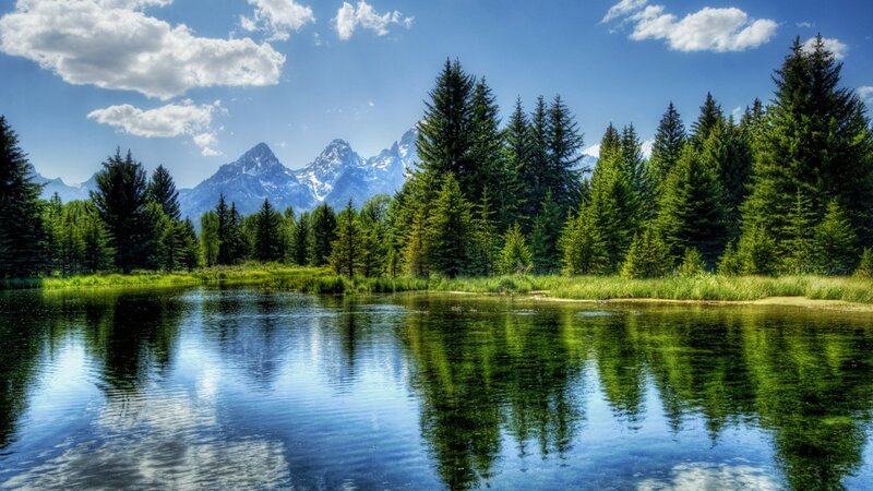 Mountain lake with forest reflection