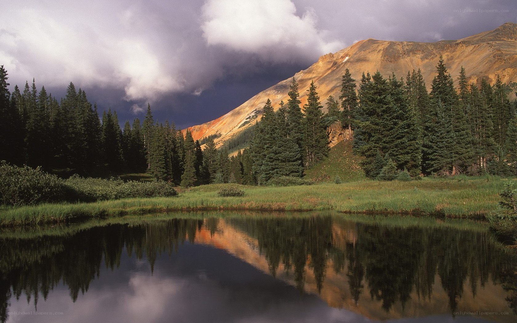 Mountain lake with forest reflection