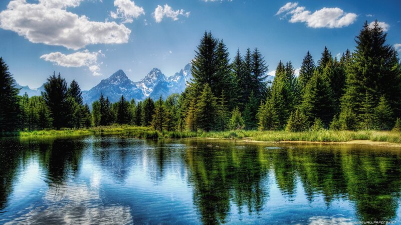 Mountain lake with forest reflection