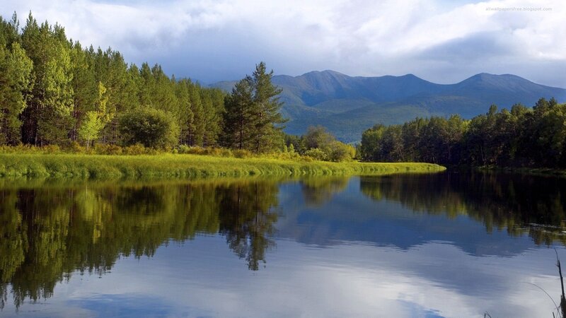Mountain lake with forest reflection