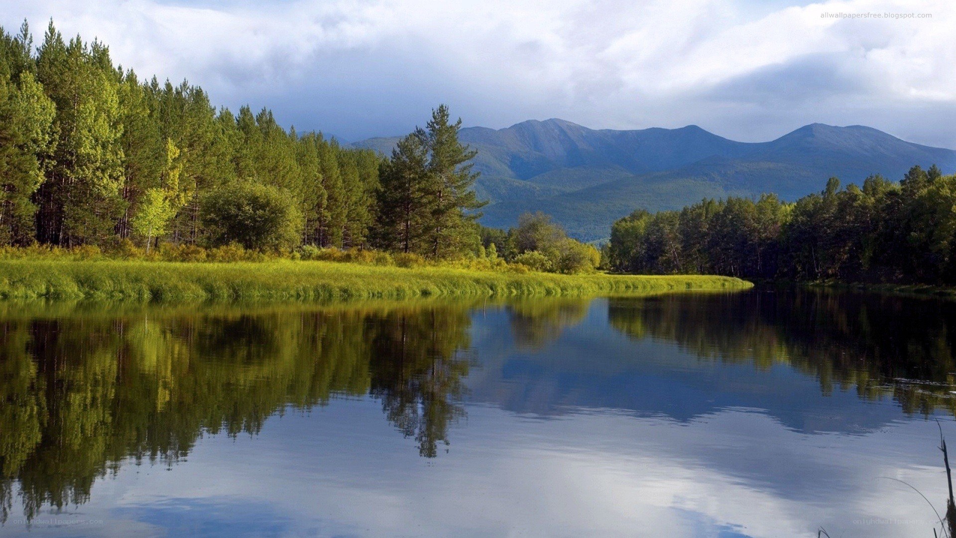 Mountain lake with forest reflection