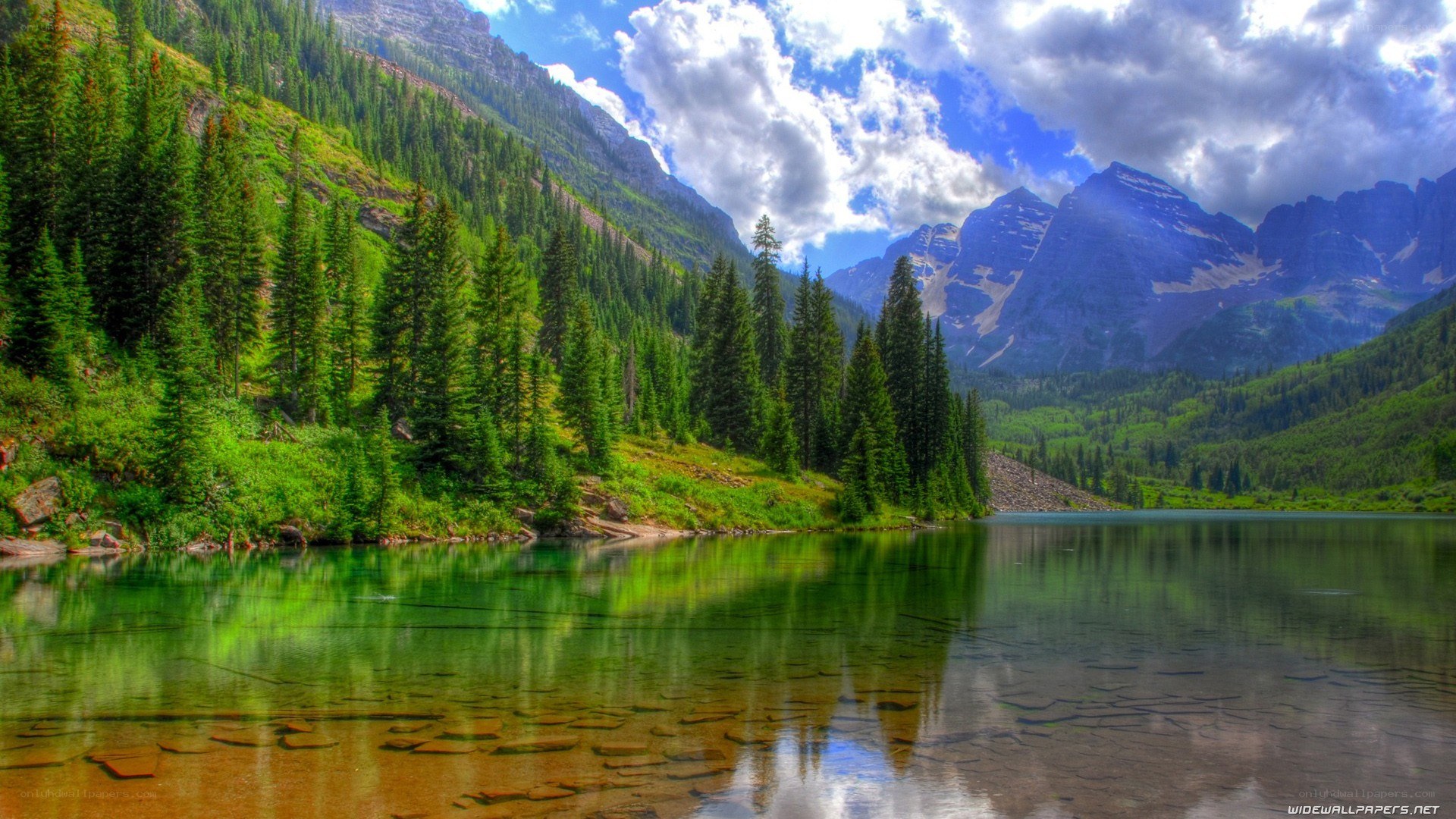 Mountain lake with forest reflection