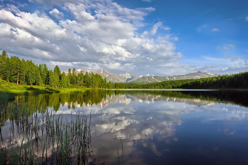 Mountain lake with forest reflection