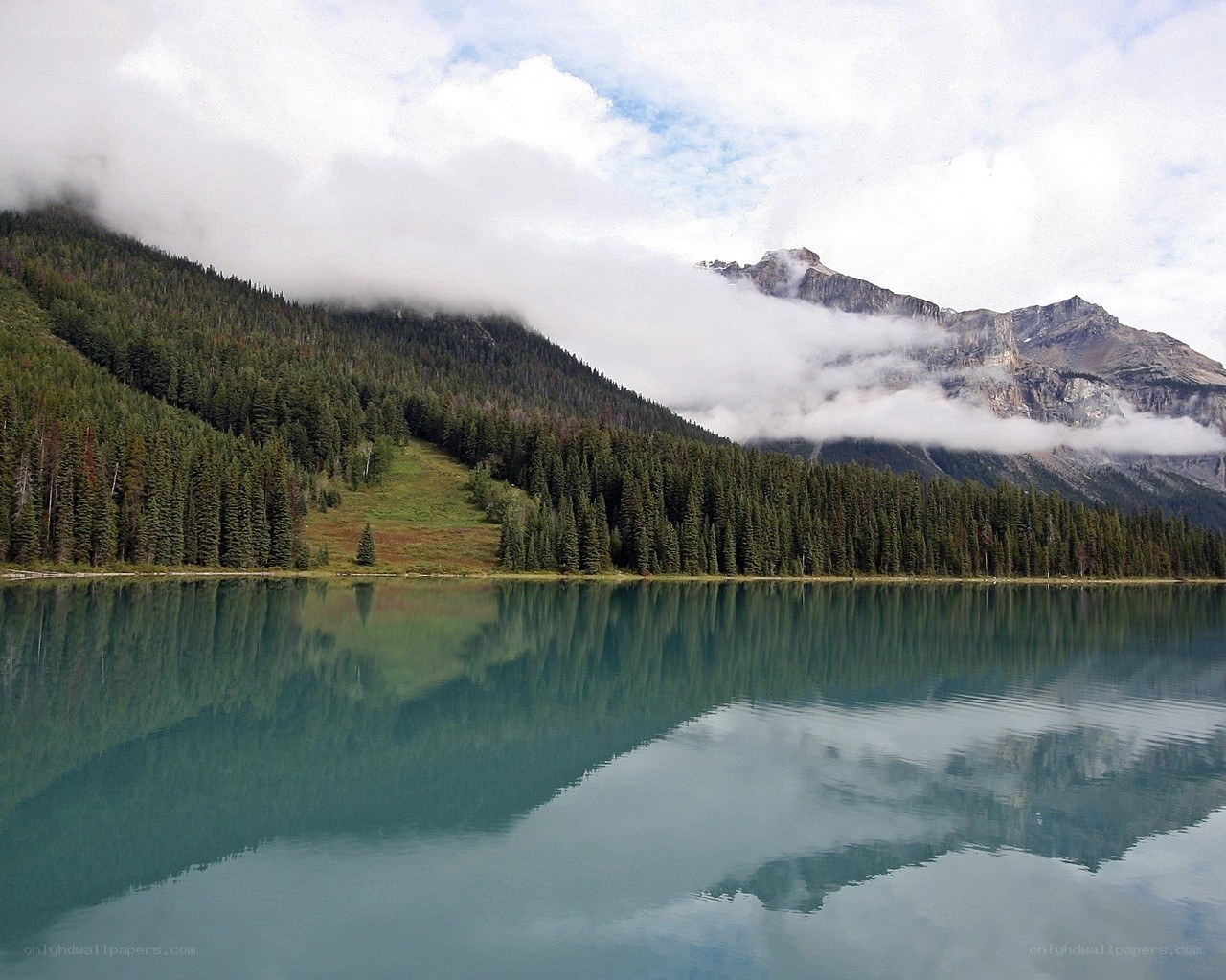 Mountain lake with forest reflection