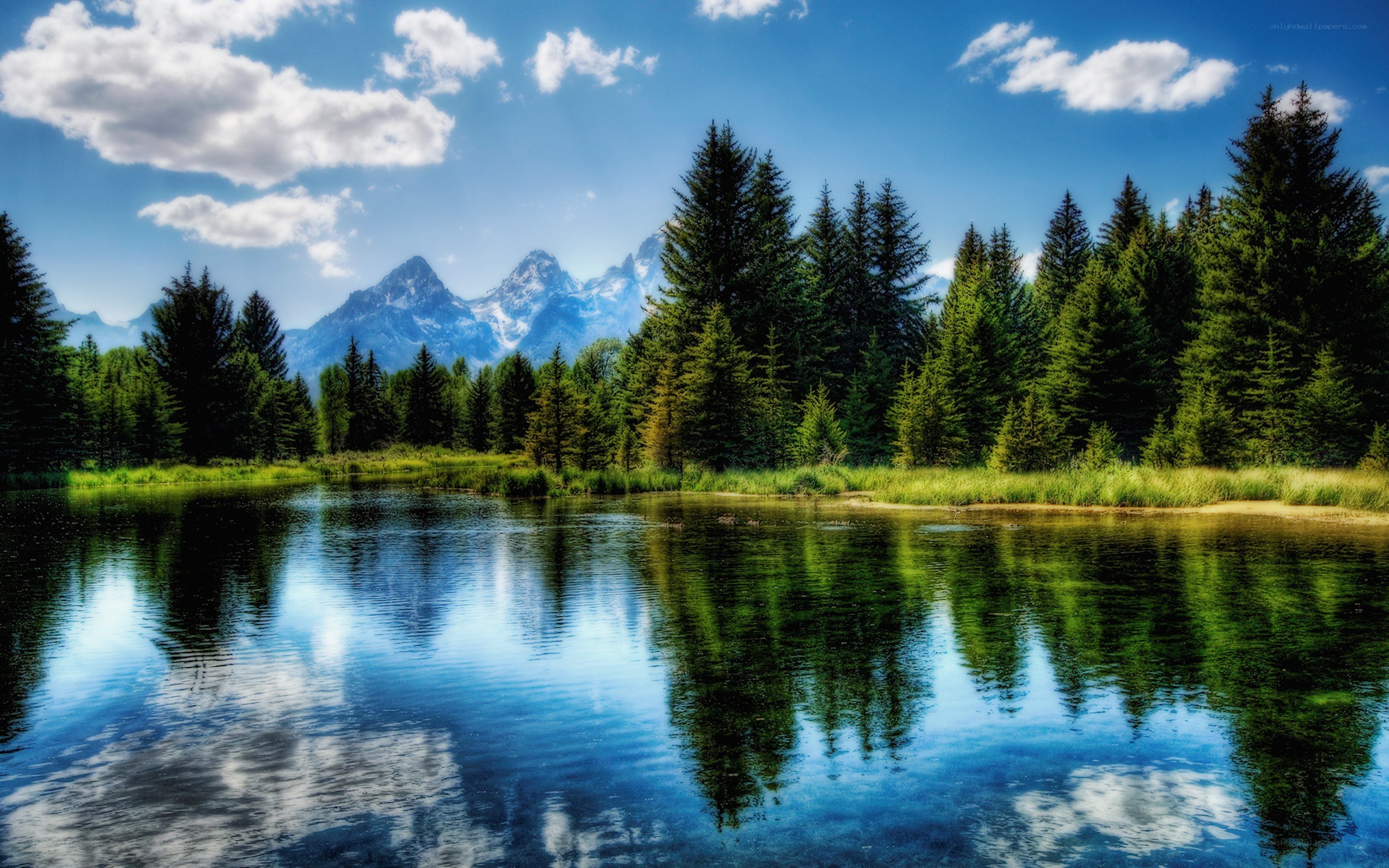 Mountain lake with forest reflection