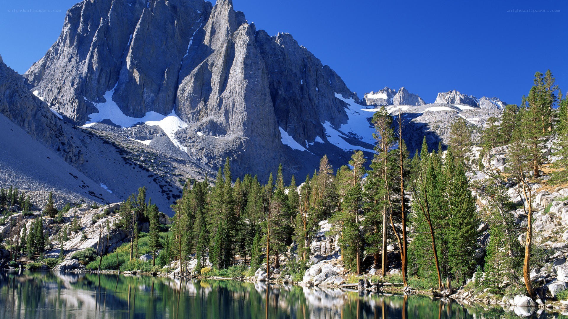 Mountain lake with forest reflection