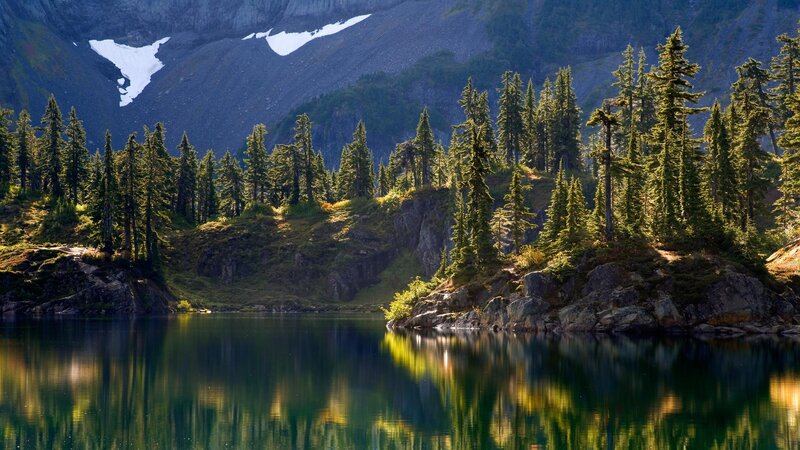 Mountain lake with forest reflection