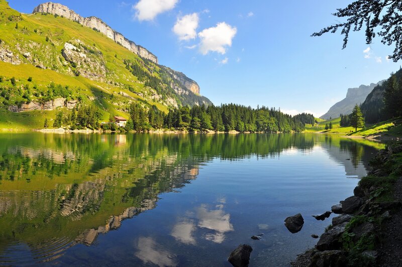 Mountain lake with forest reflection