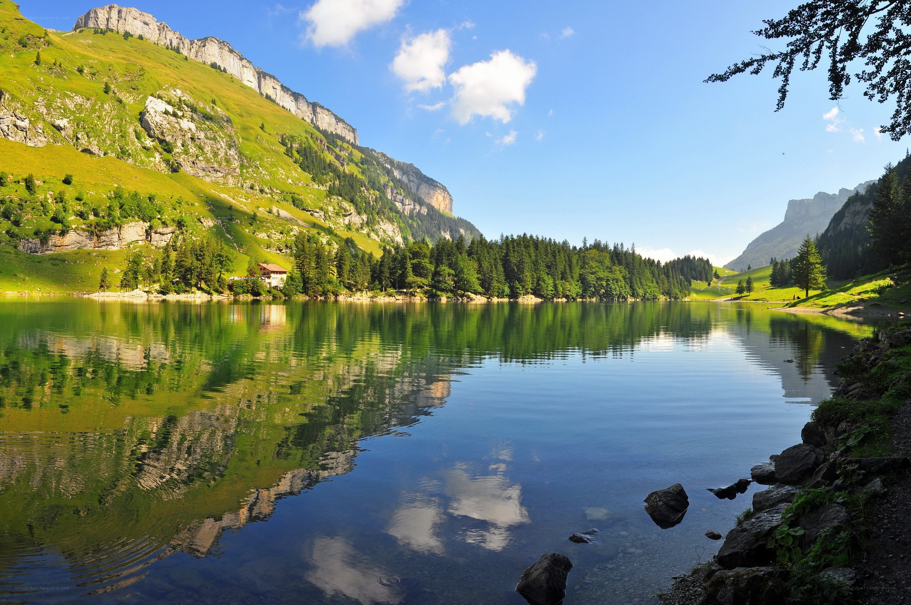 Mountain lake with forest reflection