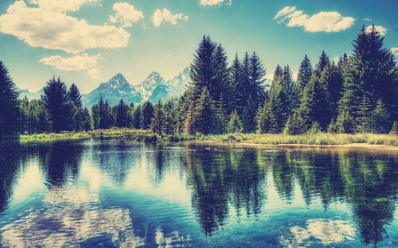 Mountain lake with forest reflection