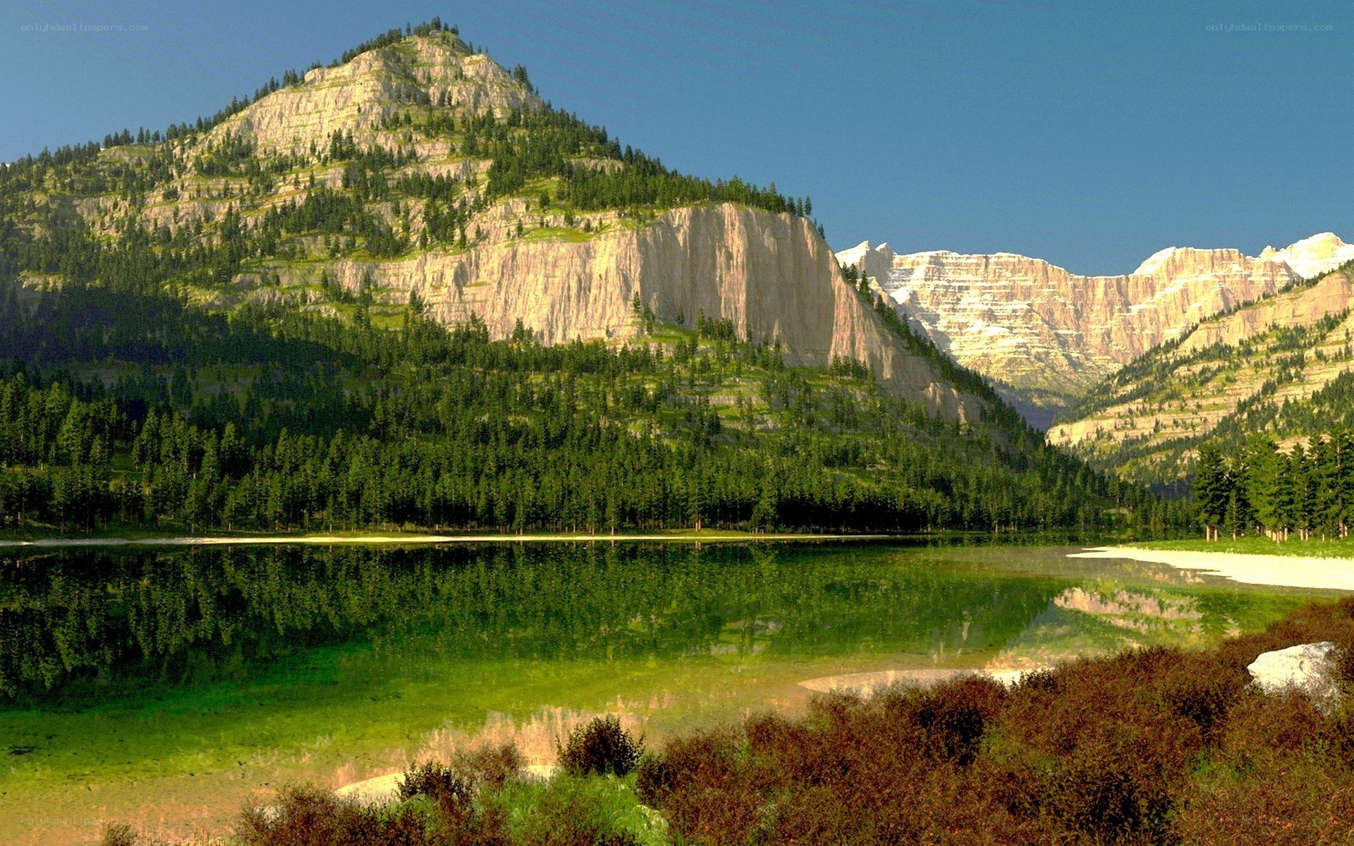 Mountain lake with forest reflection