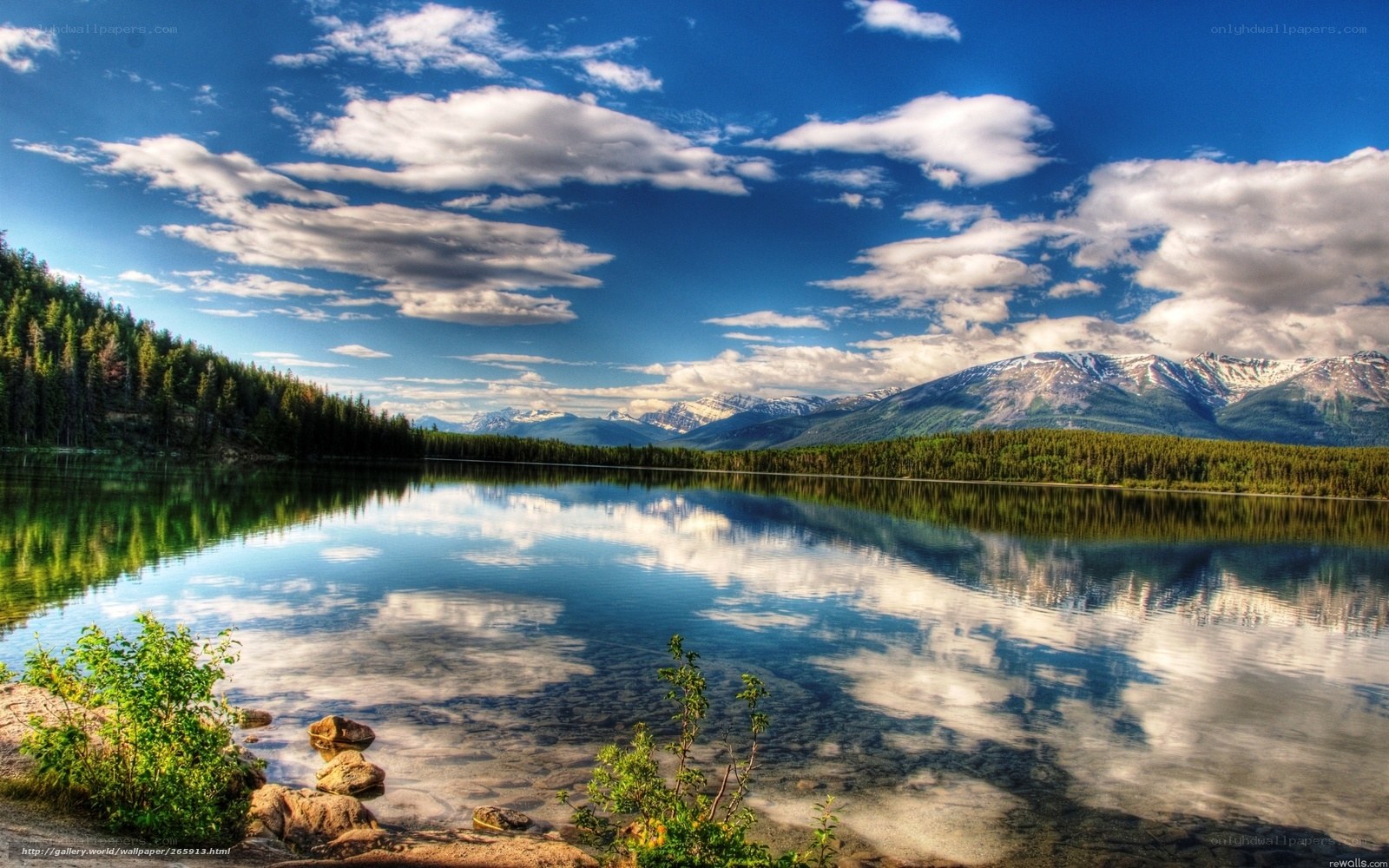 Mountain lake with forest reflection