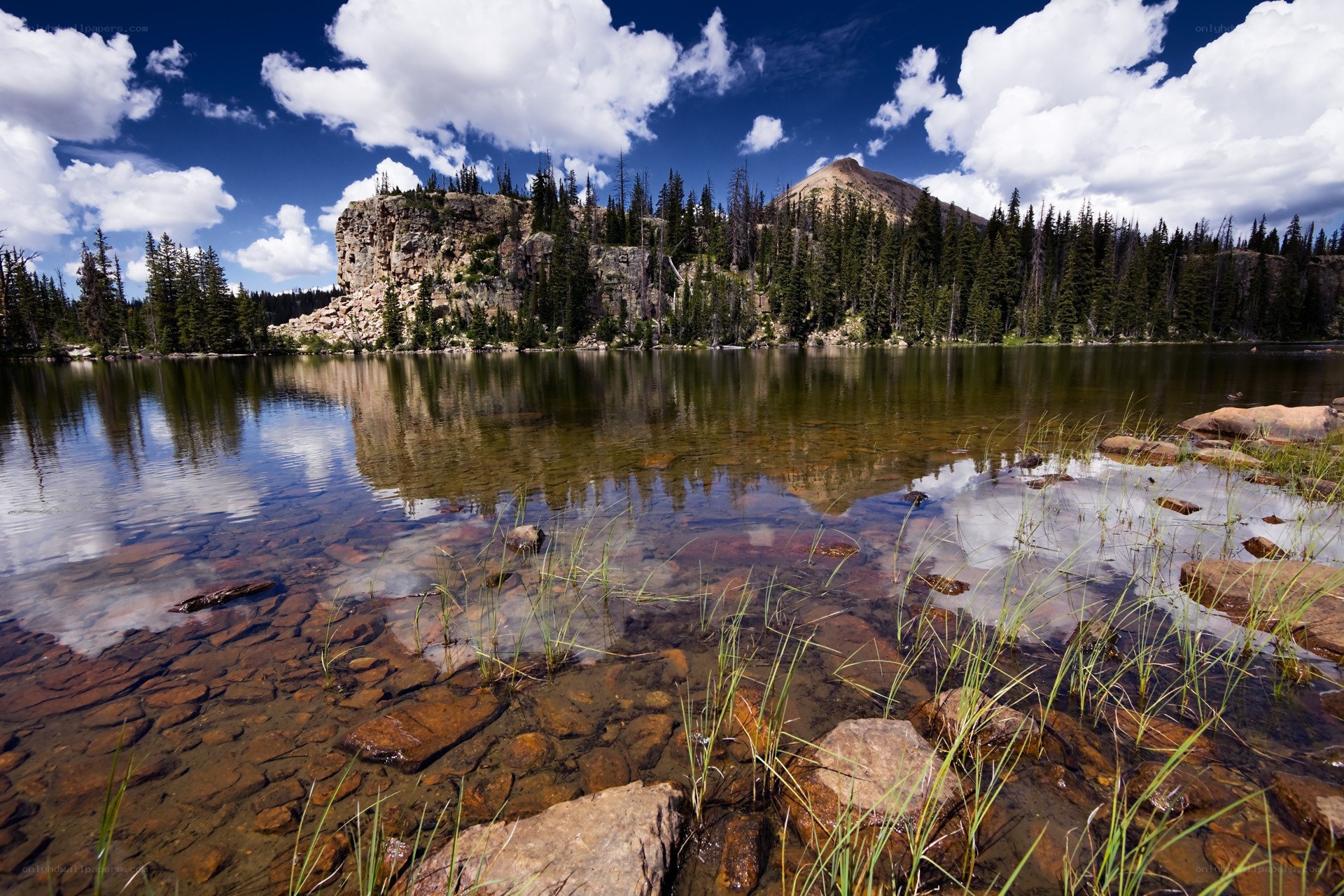 Mountain lake with forest reflection
