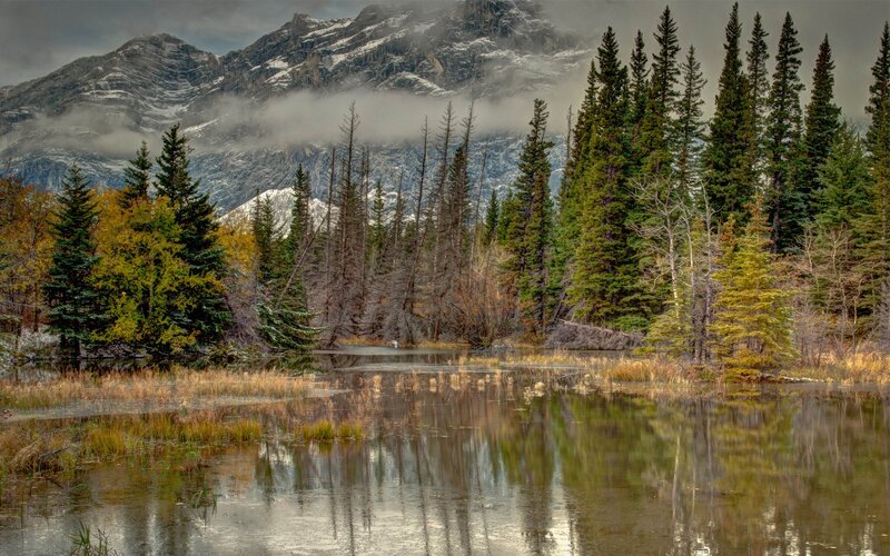 Mountain lake with forest reflection