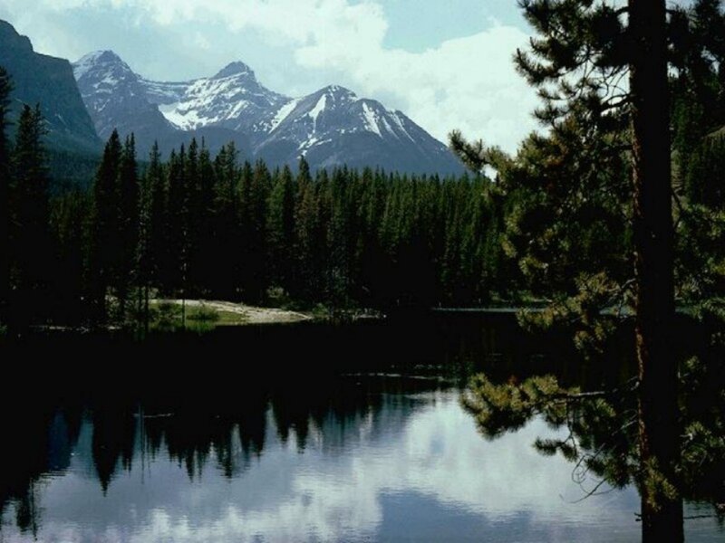 Mountain lake with forest reflection