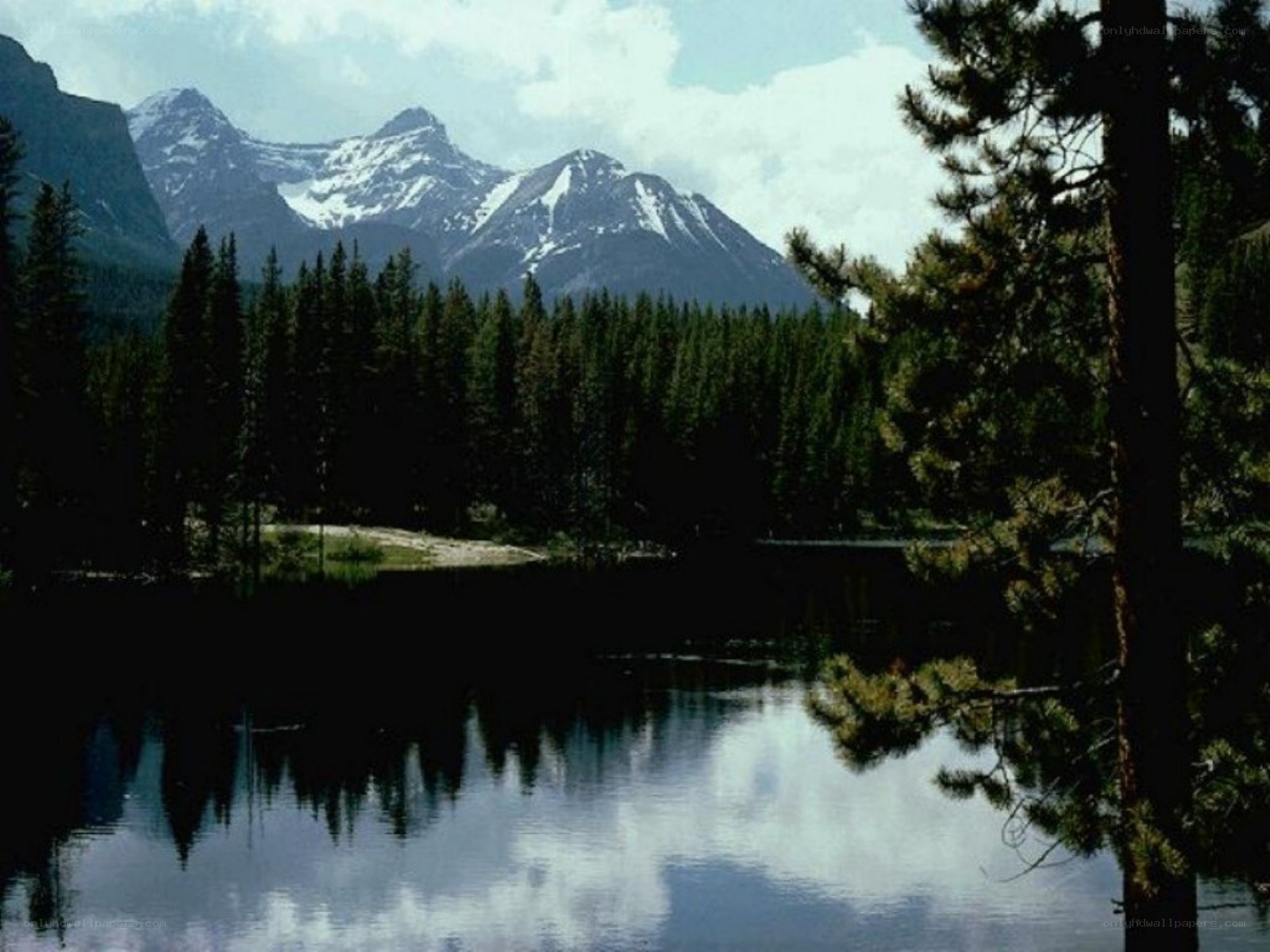 Mountain lake with forest reflection