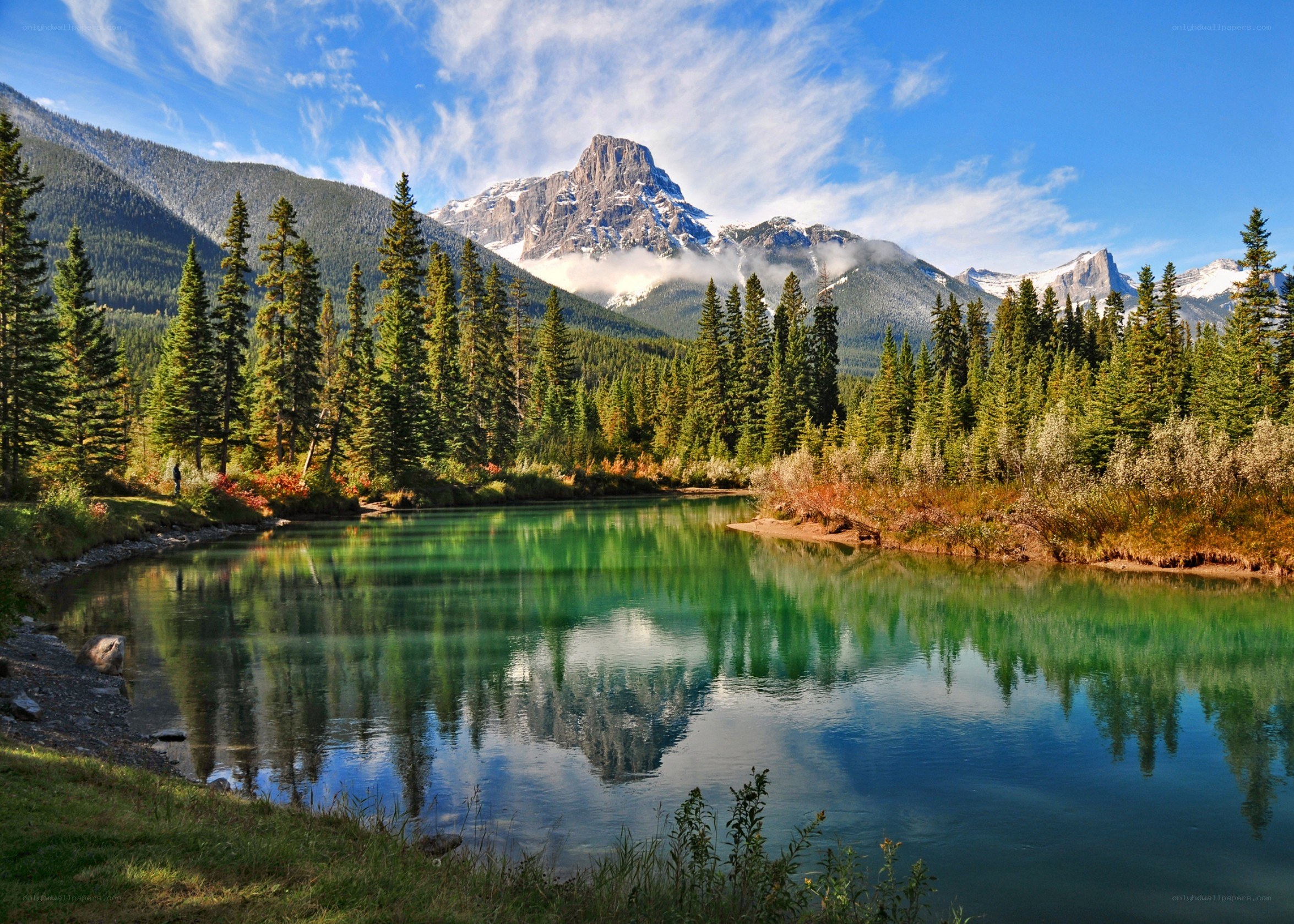 Mountain lake with forest reflection