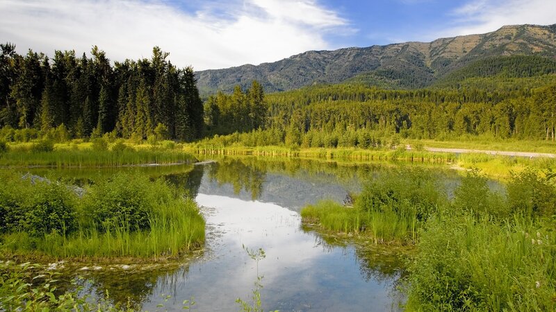 Mountain lake with forest reflection