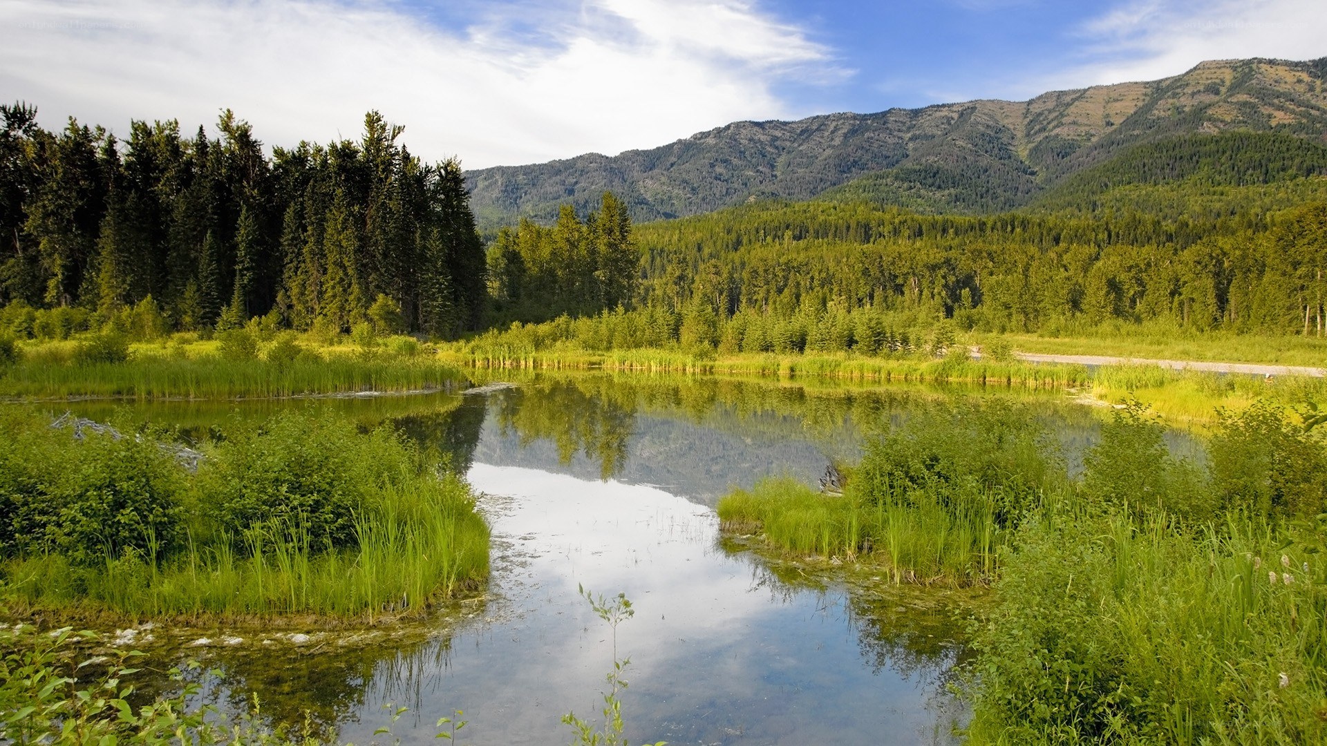 Mountain lake with forest reflection
