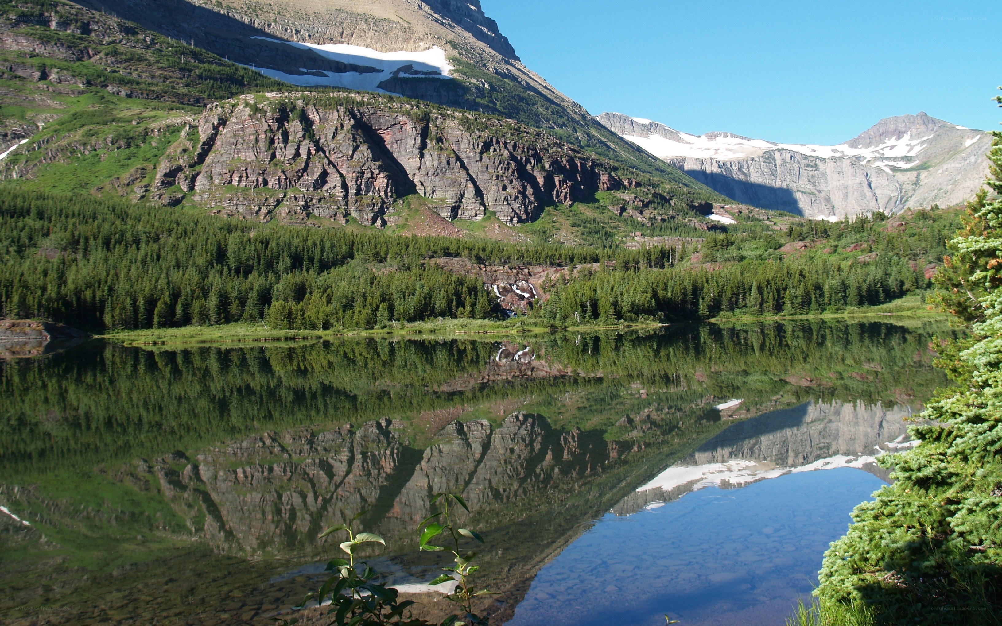 Mountain lake with forest reflection