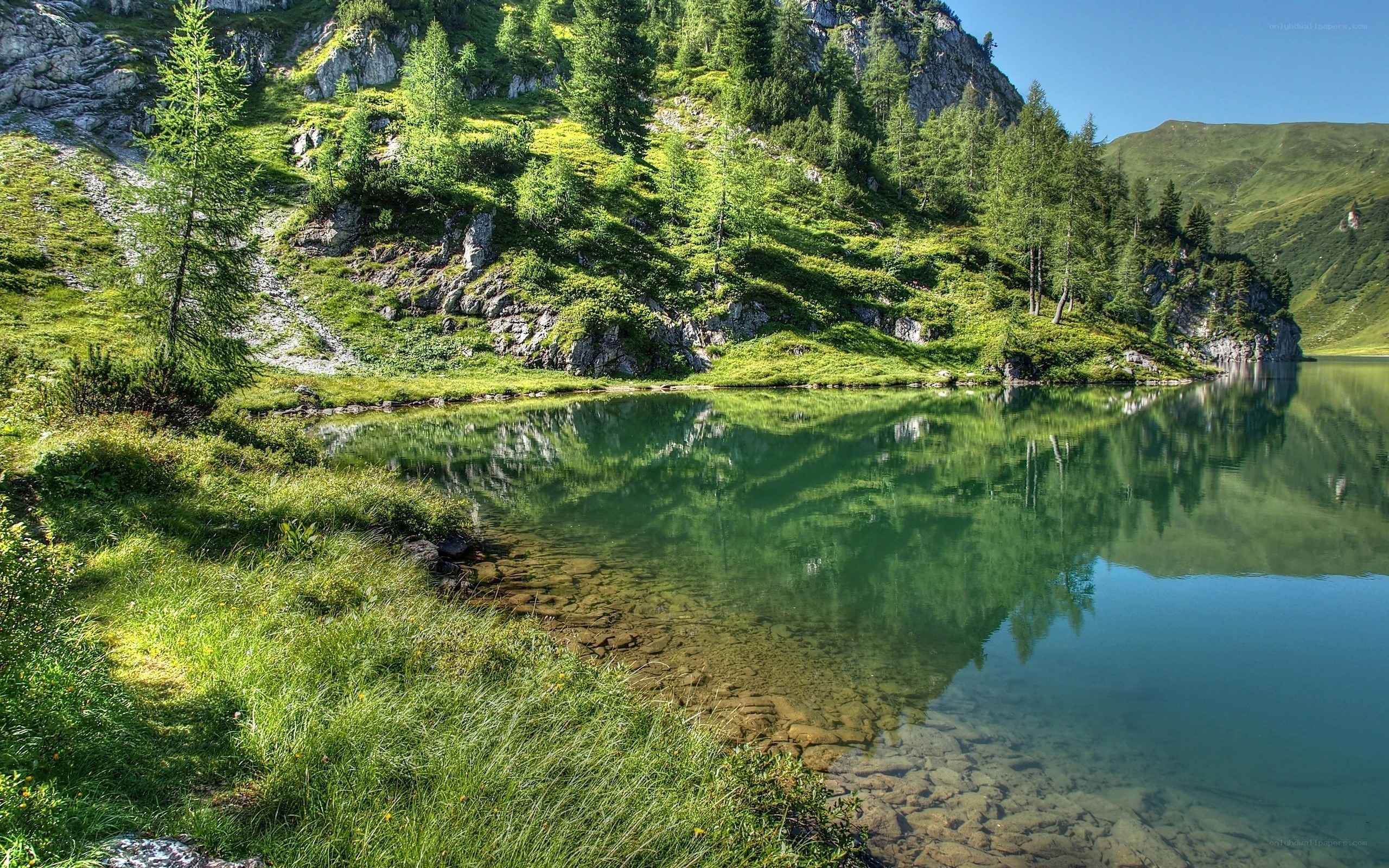 Mountain lake with forest reflection