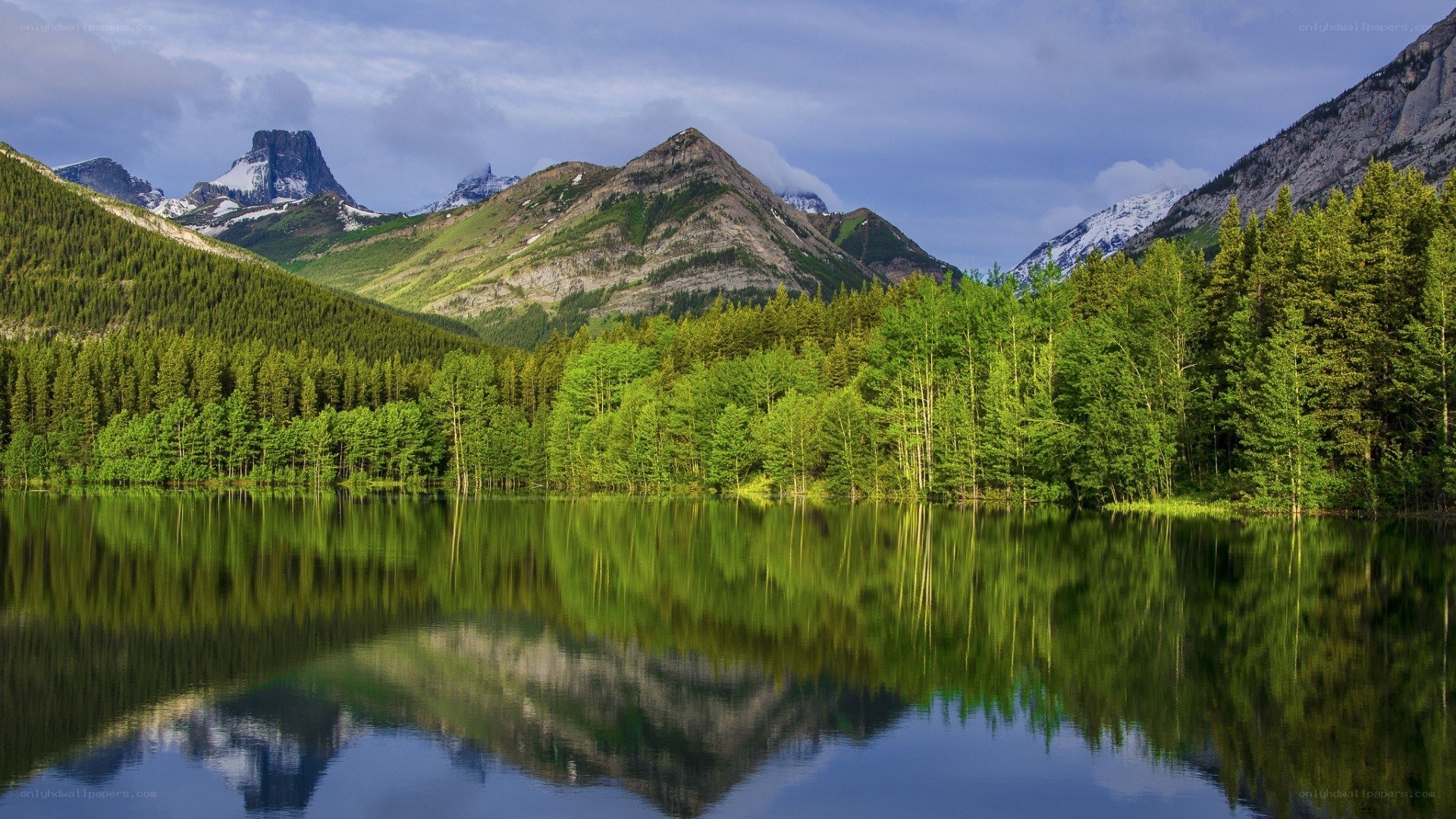 Mountain lake with forest reflection
