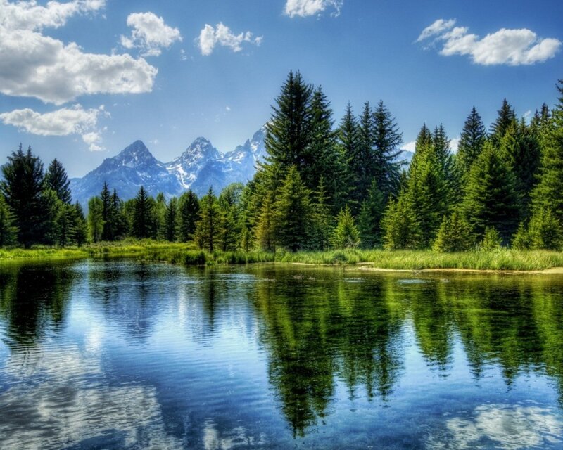 Mountain lake with forest reflection