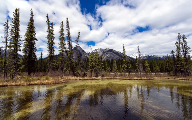 Mountain lake with forest reflection