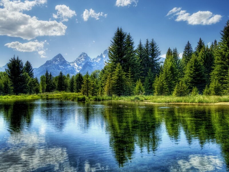 Mountain lake with forest reflection