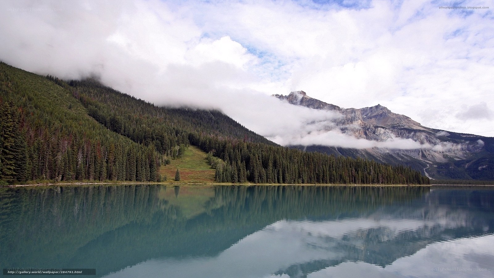 Mountain lake with forest reflection