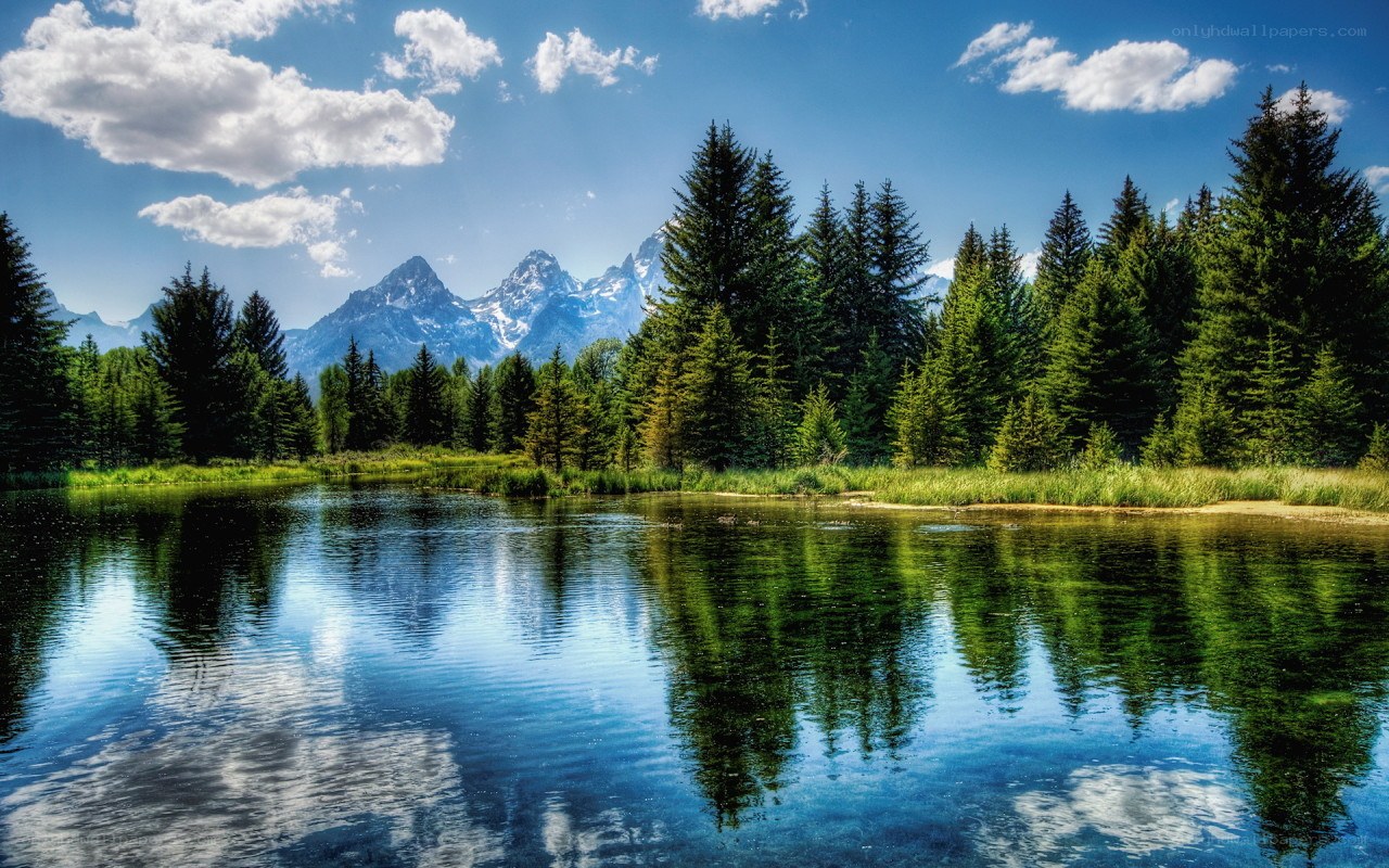 Mountain lake with forest reflection