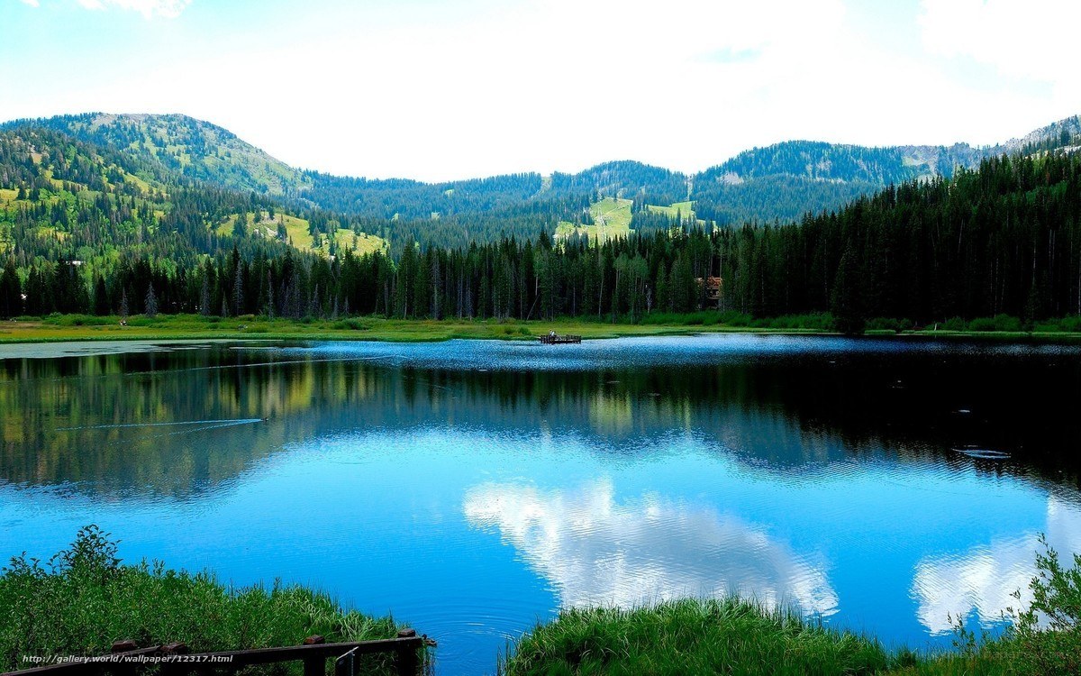 Mountain lake with forest reflection